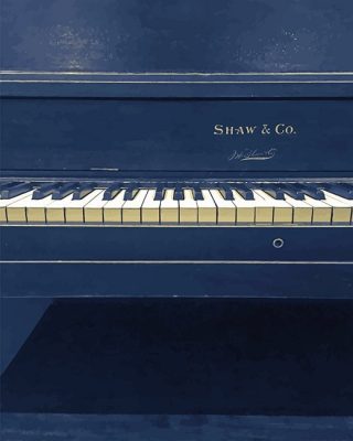 Piano Shaw and Co NEW Paint By Numbers