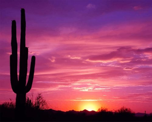 Beautiful Cactus Sunset NEW Paint By Numbers