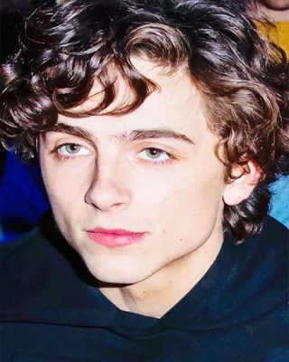 Cute Timothee Chalamet  NEW Paint By Numbers