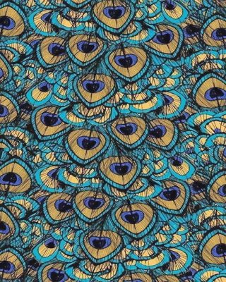 Peacock Feather Art NEW Paint By Numbers