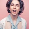 Timothee Chalamet Photoshoot NEW Paint By Numbers