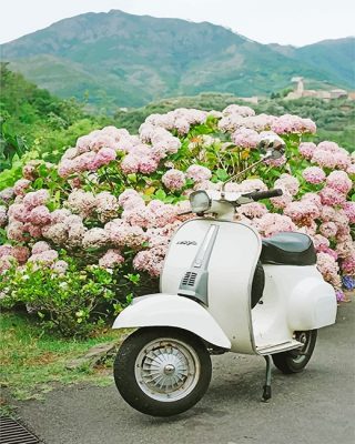 White Vespa Scooter NEW Paint By Numbers