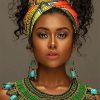 African Beautiful Woman NEW Paint By Numbers