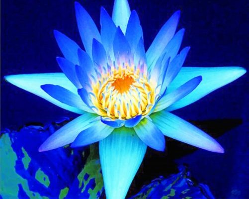 Blue Lotus NEW Paint By Numbers