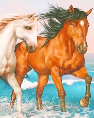 Husband and Wife Horses NEW Paint By Numbers