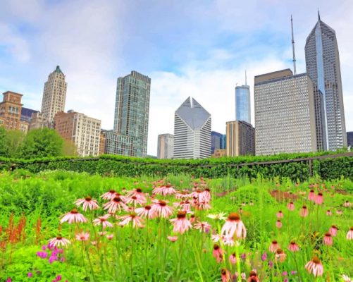 Millennium Park Chicago NEW Paint By Numbers