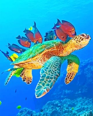 Ocean World NEW Paint By Numbers