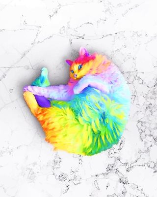 Rainbow Cat NEW Paint By Numbers