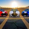 Blue Red and White Mustang Cars NEW Paint By Numbers