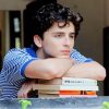 Classy Handsome Timothee Chalamet NEW Paint By Numbers