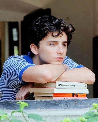 Classy Handsome Timothee Chalamet NEW Paint By Numbers