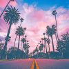 Los Angeles California Sunset NEW Paint By Numbers