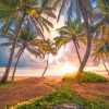 Paradise Nature Paint By Numbers