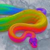 Rainbow Snake paint by numbers