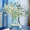 Baby's Breath Glass Vase paint by numbers