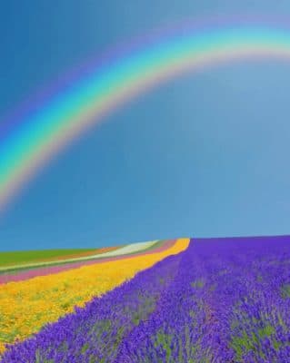 Rainbow In Lavender Field paint by numbers