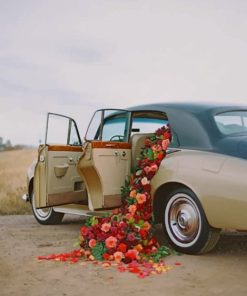 Red Flowers In A Classic Car paint by numbers