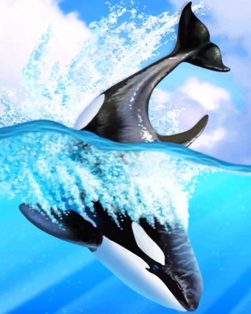 Orca Whale Art paint by numbers