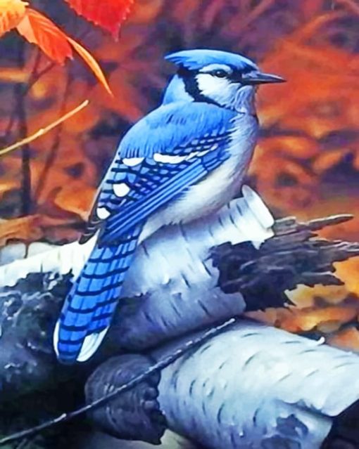 Blue Jay paint by numbers