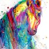 Colorful Horse paint by numbers