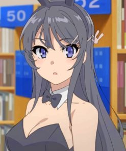 Mai Sakurajima Bunny Senpai paint by numbers