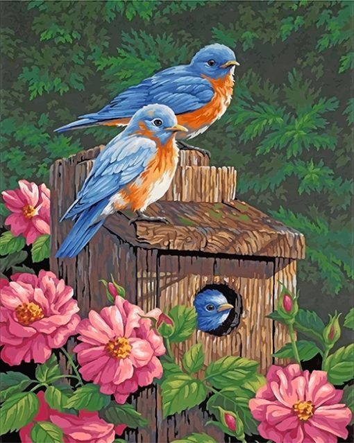 Garden Bluebirds paint by numbers