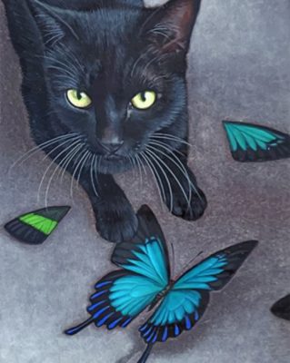 Black Cat And Butterflies Paint by numbers