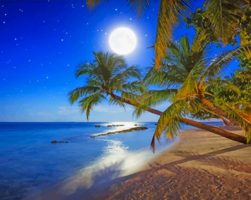 full moon night beach paint by number