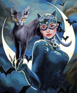 Catwoman paint by numbers