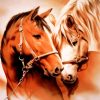 Horse Couple Paint by numbers