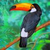 Tropical Toucan Paint by numbers