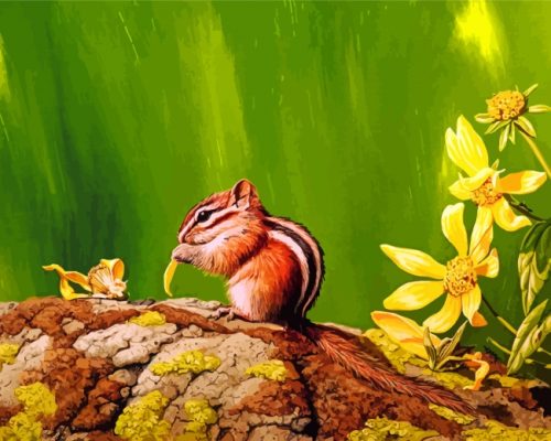 Colorado Chipmunk Paint by numbers