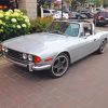 grey-triumph-stag-paint-by-numbers