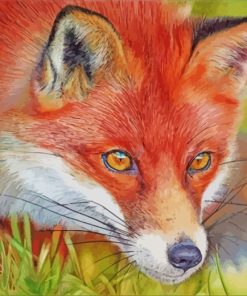 red-fox-paint-by-numbers