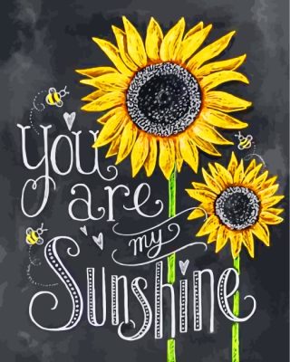 You Are My Sunshine Paint by numbers