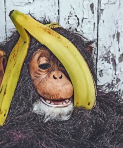 Chimpanzee-With-Banana-paint-by-numbers