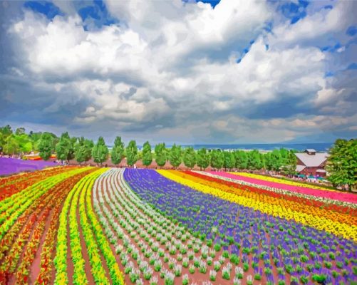 Hokkaido-farm-tomita-paint-by-numbers