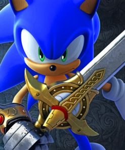 Sonic-And-The-Black-Knight-paint-by-number