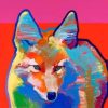 Colorful Coyote Paint by numbers