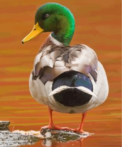 aesthetic-mallard-paint-by-numbers