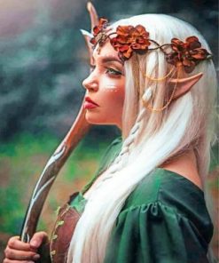 Elf Woman Paint by numbers