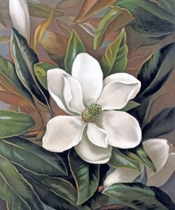 white-flower-paint-by-number