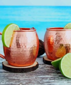 Moscow Mule Cocktails paint by numbers