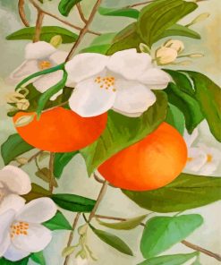 Orange Tree and blossoms paint by number