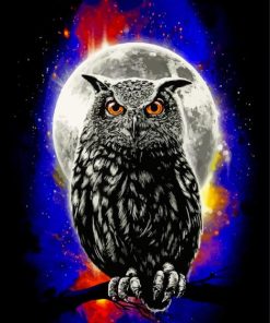 Galaxy Owl paint by numbers