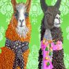 Stylish alpacas paint by number