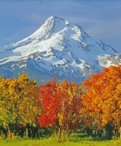 Autumn Mt Hood Oregon paint by numbers