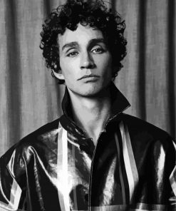 Actor Robert Sheehan Black And White Paint By Numbers