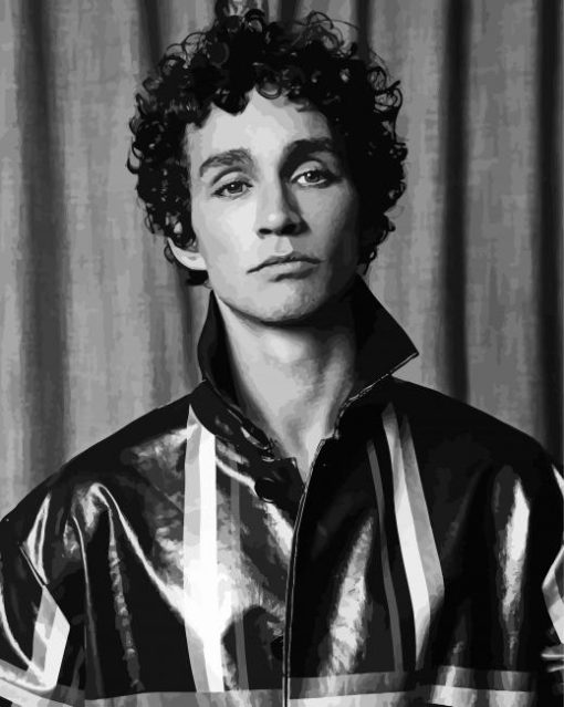 Actor Robert Sheehan Black And White Paint By Numbers