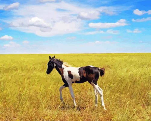 Alone Horse Foal Paint By Numbers